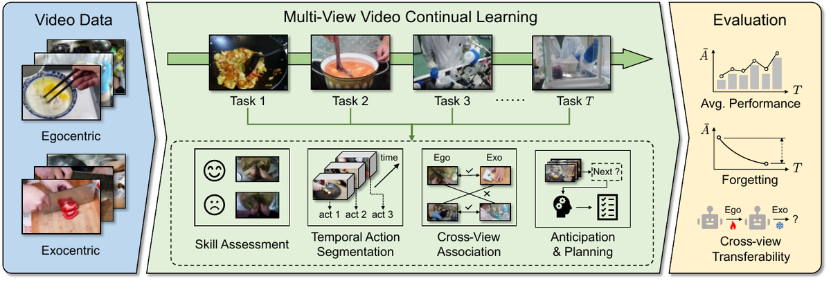 CE4L benchmark spanning continual ego- and exocentric video tasks