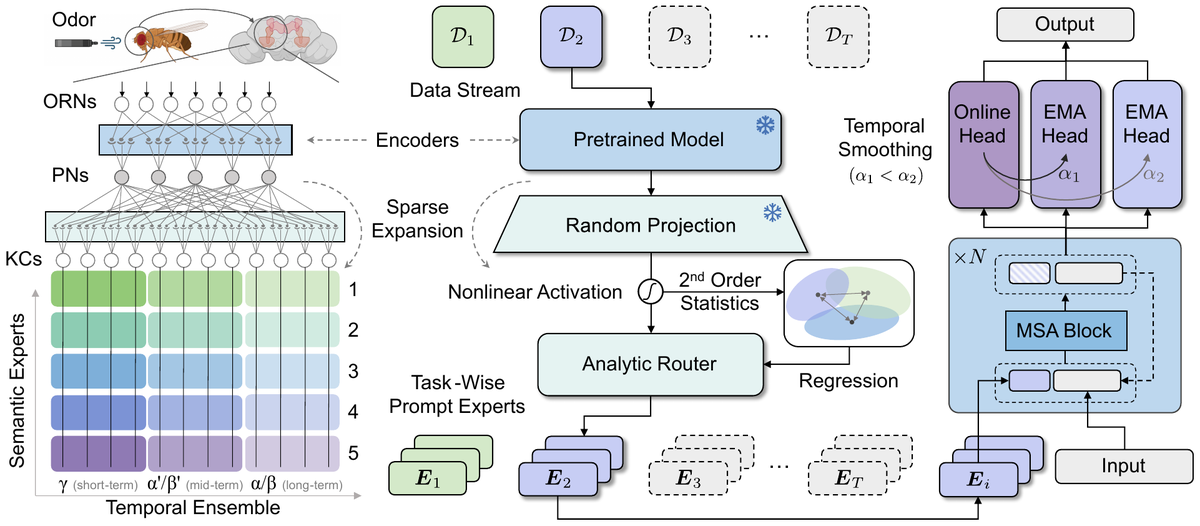 FlyPrompt framework with random-expanded routing and temporal-ensemble experts